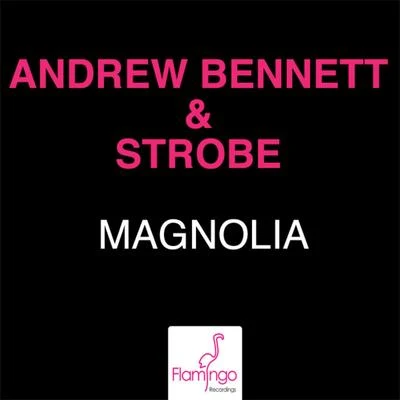 Magnolia (Extended Mix) 專輯 Strobe/HIIO/The Aston Shuffle/Laserkraft 3D/Nilson