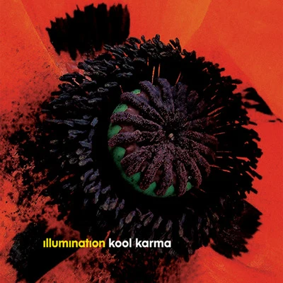 Kool Karma Remixes 專輯 Illumination/Justin Chaos/Ingrained Instincts