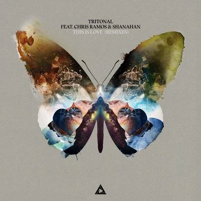 This Is Love (Remixes) 專輯 SHANAHAN/Breathe Carolina