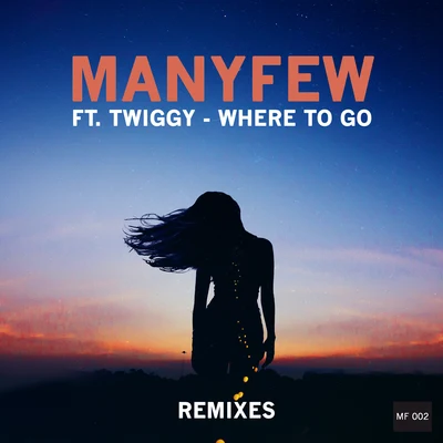 Where to Go (Remixes) 专辑 ManyFew/Voost