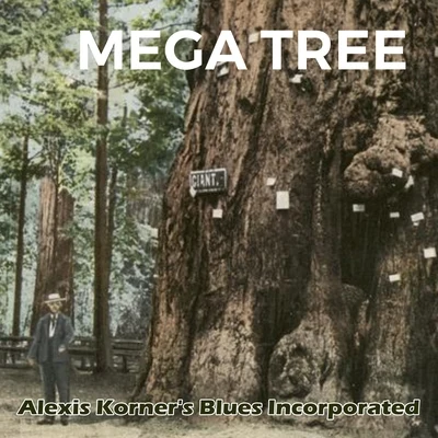 Mega Tree 專輯 Alexis Korners Blues Incorporated