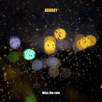 Miss the Rain 专辑 audrey