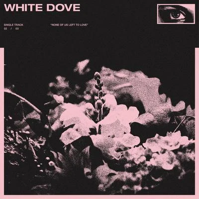 White Dove 專輯 Gloom/Koda