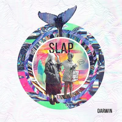 Slap 專輯 Darwin/Mainecoon