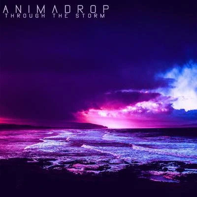 Through the Storm 专辑 Animadrop