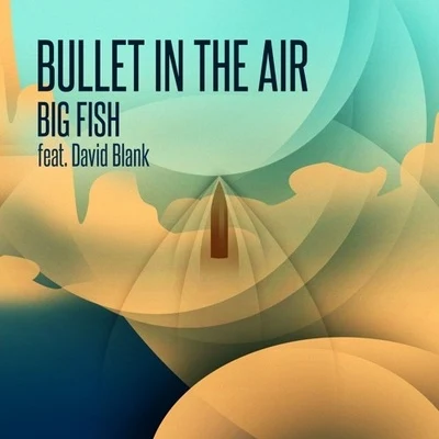 Bullet In The Air 专辑 Big Fish/Kinky Bwoy/Sundaypanic