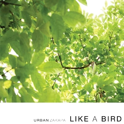 Like A Bird 專輯 Urban Zakapa