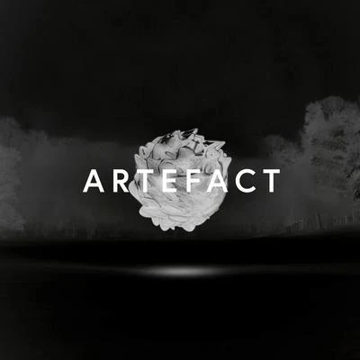 Artefact (Remixes) 專輯 Rob Clouth/Max Cooper