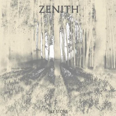 Zenith 專輯 Jay Stone