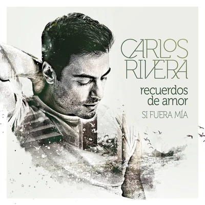 Recuerdos de Amor (Lembranças de Amor) (Si Fuera Mía) 专辑 Carlos Rivera