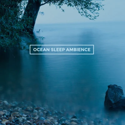 Ocean Sleep Ambience 专辑 Relaxing Rain Sounds