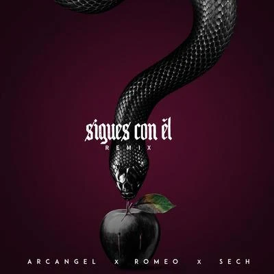 Sigues Con El (Remix) 專輯 Kiko Rodriguez/Romeo Santos