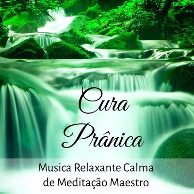 Cura Prânica - Musica Relaxante Calma de Meditação Maestro para Centro de Força Terapia de Som com Sons da Natureza Instrumentais New Age Suaves 專輯 Alma