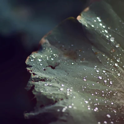 Musica relajante con sonidos de la naturalezaMassagemAcademia de Música con Sonidos de la Naturaleza Sonidos Suaves Y Tranquilos Del Sueño