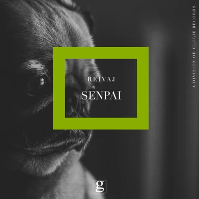 Senpai 专辑 SGX/Reivaj