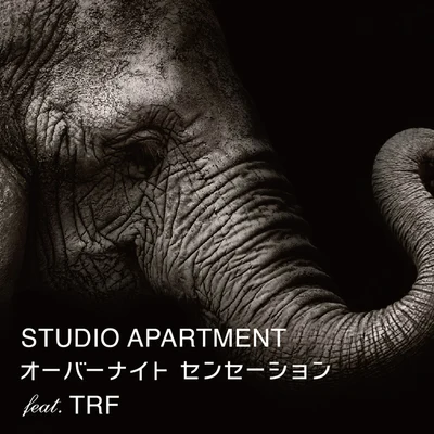 Studio ApartmentRon CarrollRasmus Faber オーバーナイトセンセーション