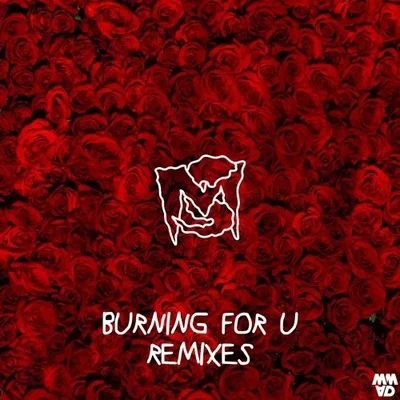 Burning For U (Remixes) 專輯 MineSweepa/Krimer/Dr. Ozi/Trampa