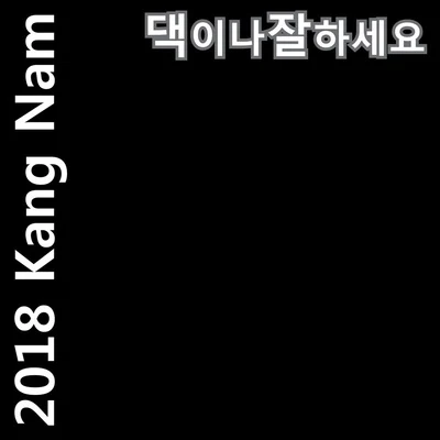 KangNam 2018 강남 댁이나 잘하세요