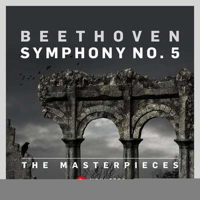 The Masterpieces - Beethoven: Symphony No. 5 in C Minor, Op. 67 專輯 Josef Krips