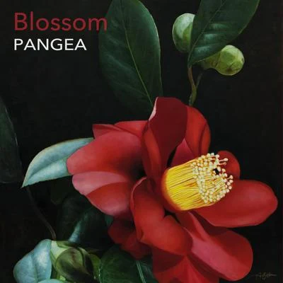 Blossom 專輯 M.Y. Project/Pangea/Surupo/Surfer/Axis Mundi