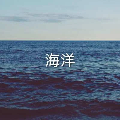 海洋 專輯 Ocean Waves for Sleep/Ocean Sounds