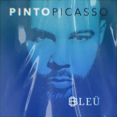 Bleu 专辑 Pinto Picasso