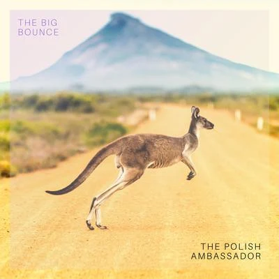 The Big Bounce 專輯 Ayla Nereo/The Polish Ambassador/Wildlight