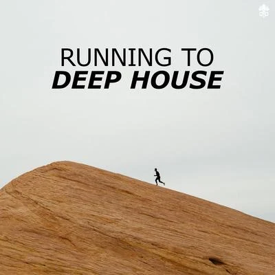 Tyler SjöströmVinilSterkøl Running to Deep House