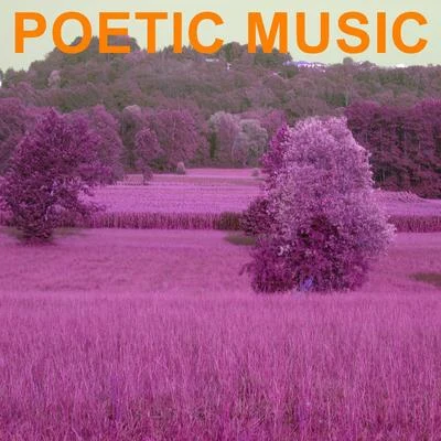 Poetic Music 专辑 Hugh Cornwell/Robert Williams