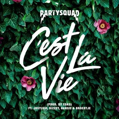 Cest la vie 專輯 The Partysquad