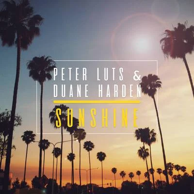 Sunshine (Radio Edit) 專輯 Peter Luts