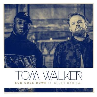 Sun Goes Down 專輯 Tom Walker/MJ Cole