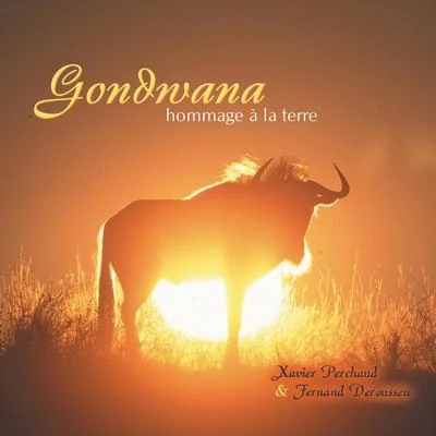 Gondwana, hommage à la Terre 专辑 Ariel Kalma/Gondwana/Ash Dargan/Quintino & Blasterjaxx/Hilight Tribe