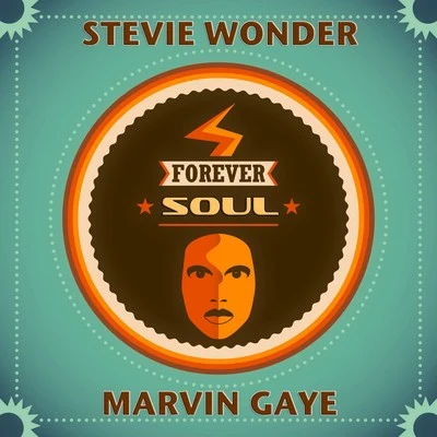 Stevie Wonder Forever Soul