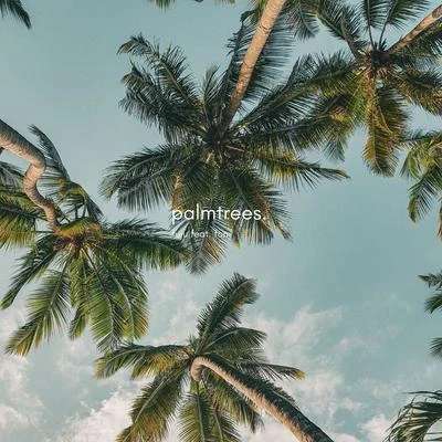 Palmtrees 專輯 fon