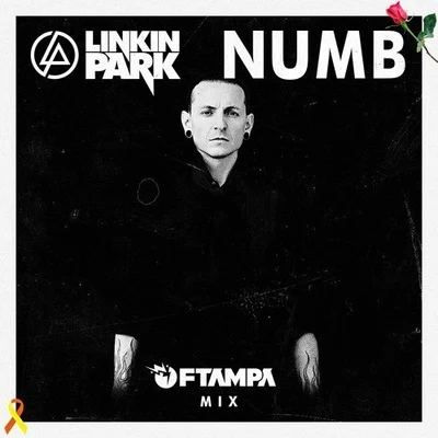 FTampa Numb (FTampa Mix)