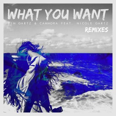 What You Want (feat. Nicole Gartz) [Remixes] 专辑 Tim Gartz