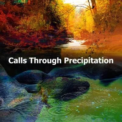 Calls Through Precipitation 專輯 Musica Para Dormir y Sonidos de la Naturaleza