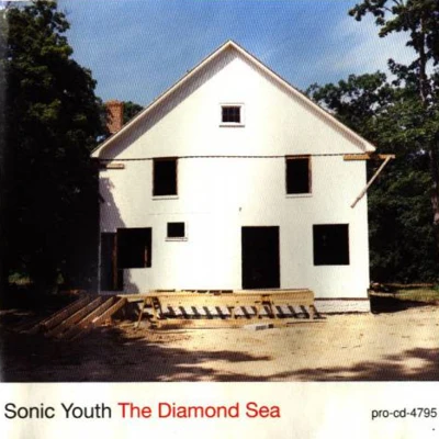 The Diamond Sea 專輯 Sonic Youth