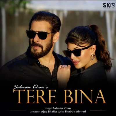 Tere Bina 專輯 Salman Khan