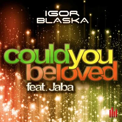 Could You Be Loved 专辑 Igor Blaska