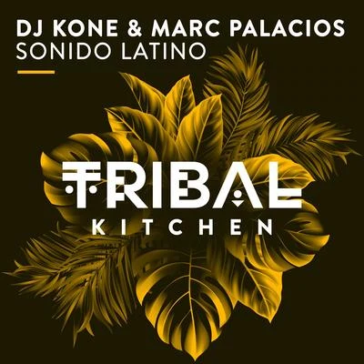 Dj KoneAlaia & Gallo Sonido Latino (Radio Edit)