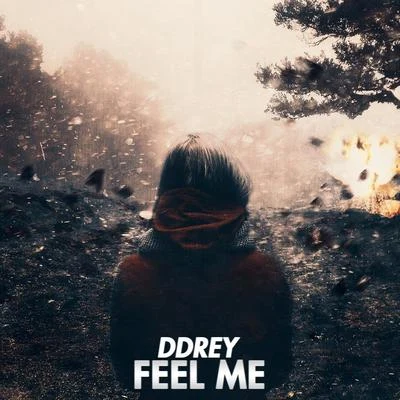 Feel Me 专辑 Soundr/DDRey