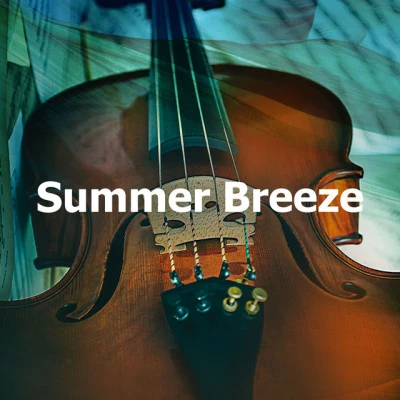 Summer Breeze 專輯 Irish Celtic Music/Celtic Spirit/Celtic Music Voyages