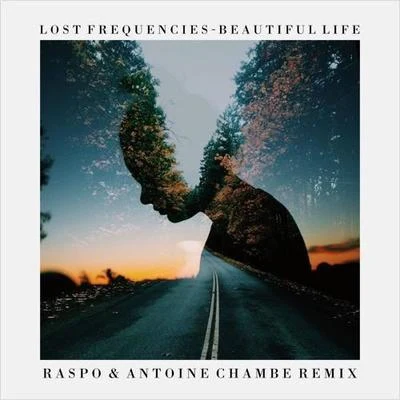 TomodeAntoine Chambe Beautiful Life (Raspo Remix)