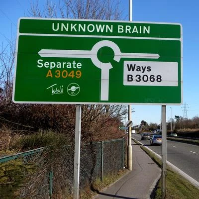 Separate Ways 專輯 Unknown Brain