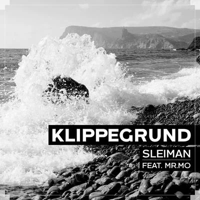 Klippegrund 專輯 LIVID/Sleiman/Zeki