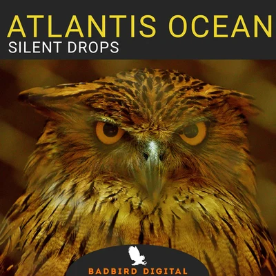 Silent Drops 專輯 ZENI/Atlantis Ocean/Danyka Nadeau/Mahi/Hellberg