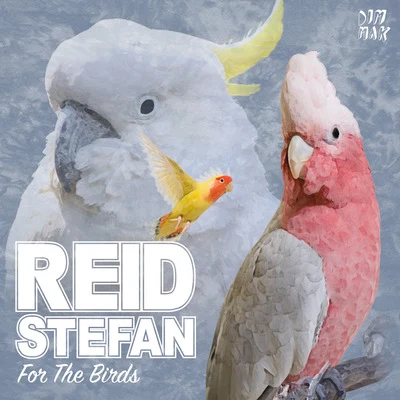 For The Birds 專輯 Reid Stefan