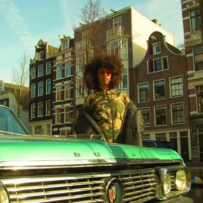 Amsterdam 专辑 Prince Fatty/Mungo's Hi Fi